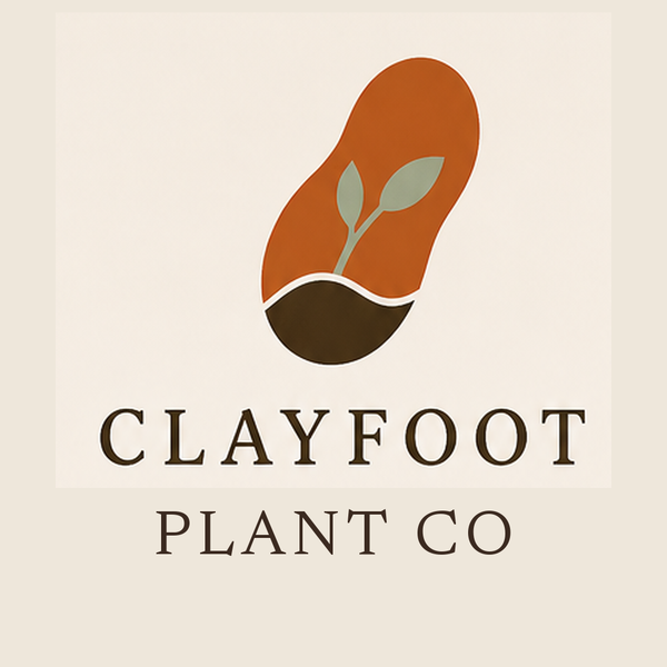 CLAYFOOT PLANT CO